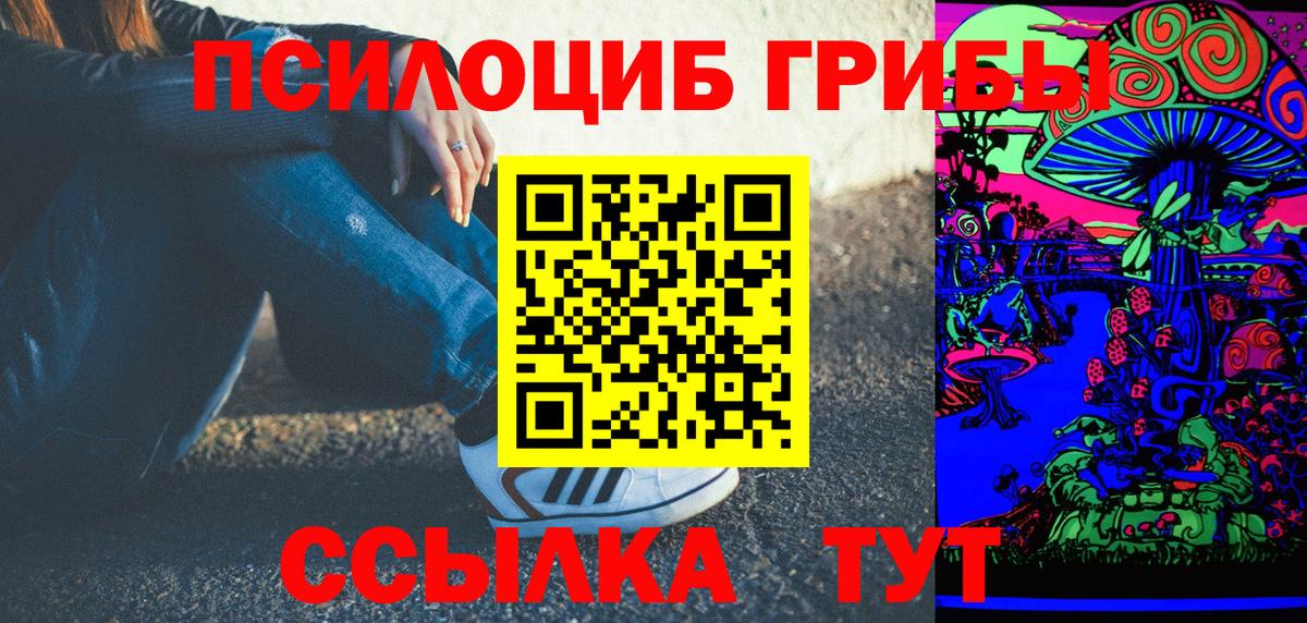 Псилоцибиновые грибы Psilocybine cubensis Сосновый Бор