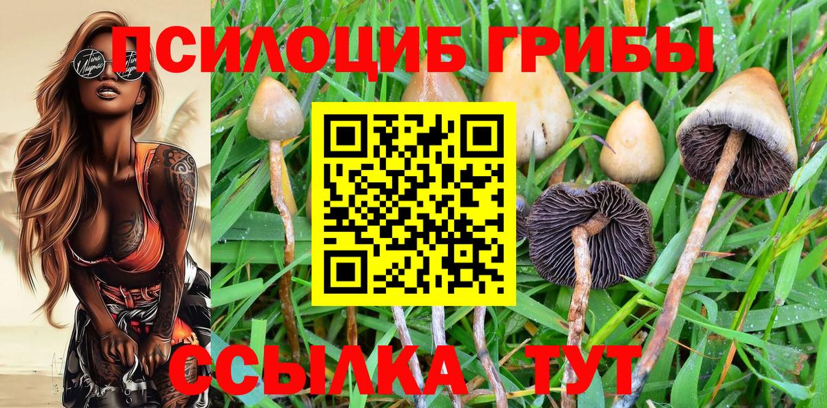 Сосновый Бор  Галлюциногенные грибы Magic Shrooms  Вход с VPN 