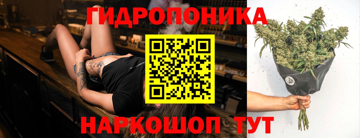 Бошки марихуана AK-47  Конопля VHQ  Сосновый Бор  Каннабис конопля  Вход с VPN 